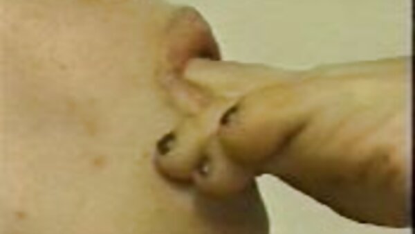 Bootylicious سكس مترجم سكس العرب غريب الكلبة تيفاني مستعدة لأخذ ديك كبيرة في مهبلها